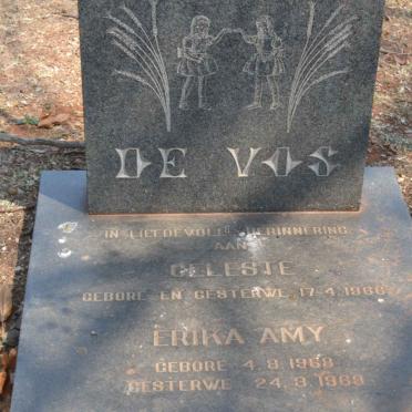 VOS Celeste, de 1966-1966 :: DE VOS Erika Amy 1968-1969