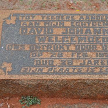 WELGEMOED David Johannes -1921