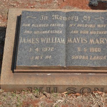 Wi - Surnames starting with the letters Wi