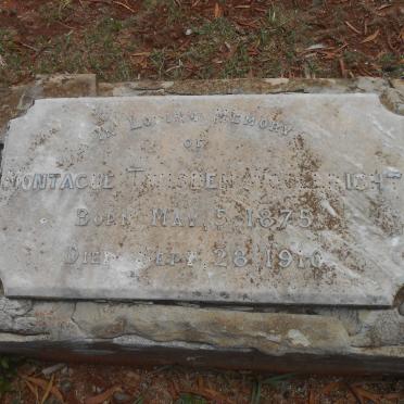 WOOLLBRIGHT Montague Twisden 1875-1910