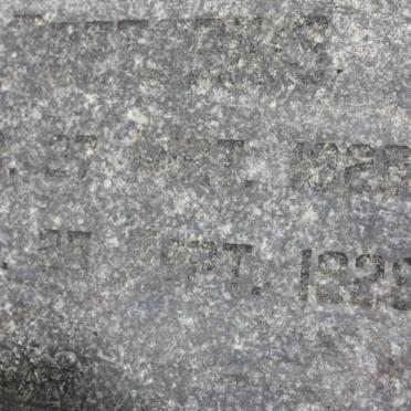 PRETORIUS ? Albertus 1928-1928