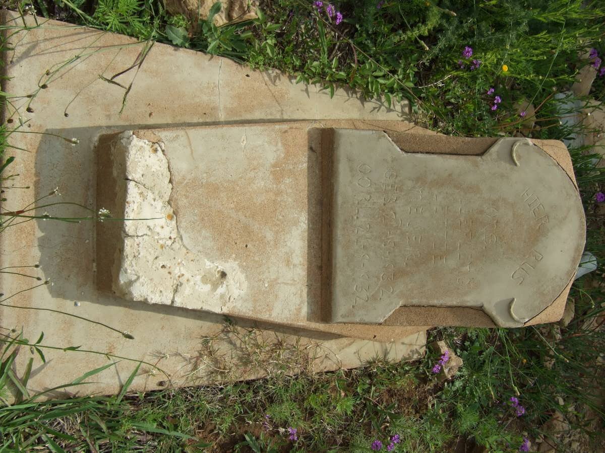 MEYER Lettie 1932-1932