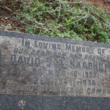 HAARHOFF David S.A. 1920-1936