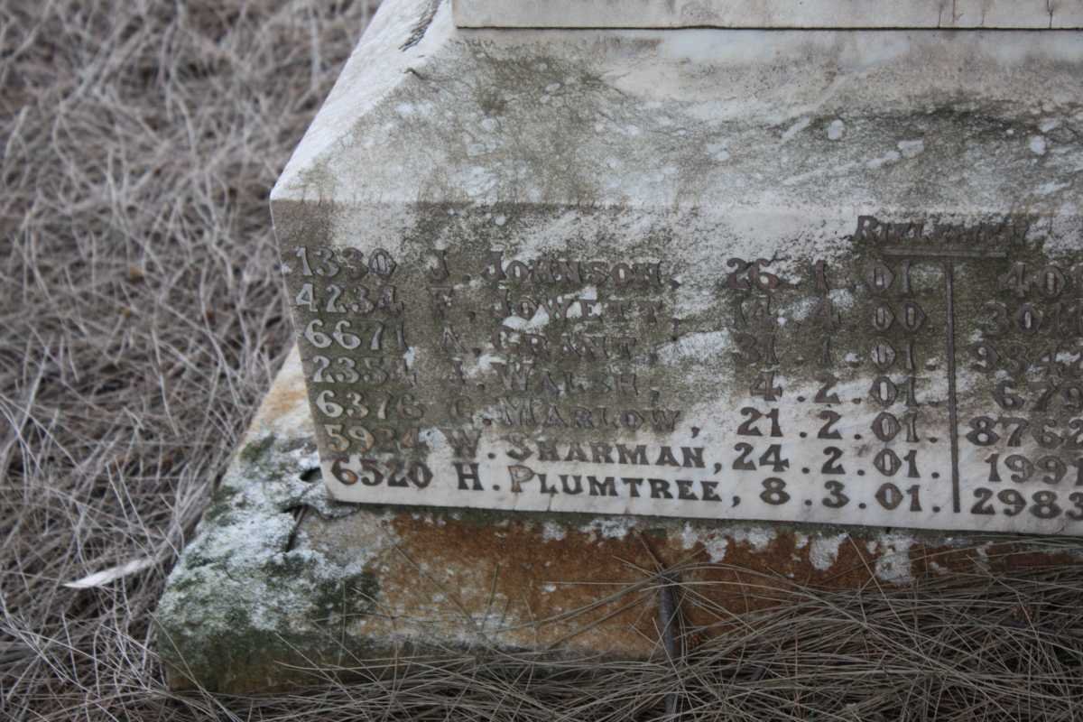 KING'S ROYAL RIFLES 1900-1901 Riflemen 11