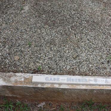 LOUW Adriaan J. 1859-1935 :: LOUW Adriaan J. 1917-1917 :: LOUW Charlotte Louise 1896-1970 :: LOUW Maria J. nee ROWAN 1860-1920