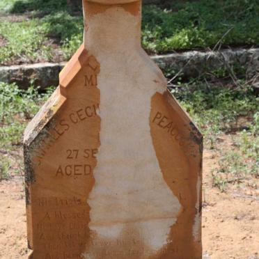 P - Vanne :: Surnames - P