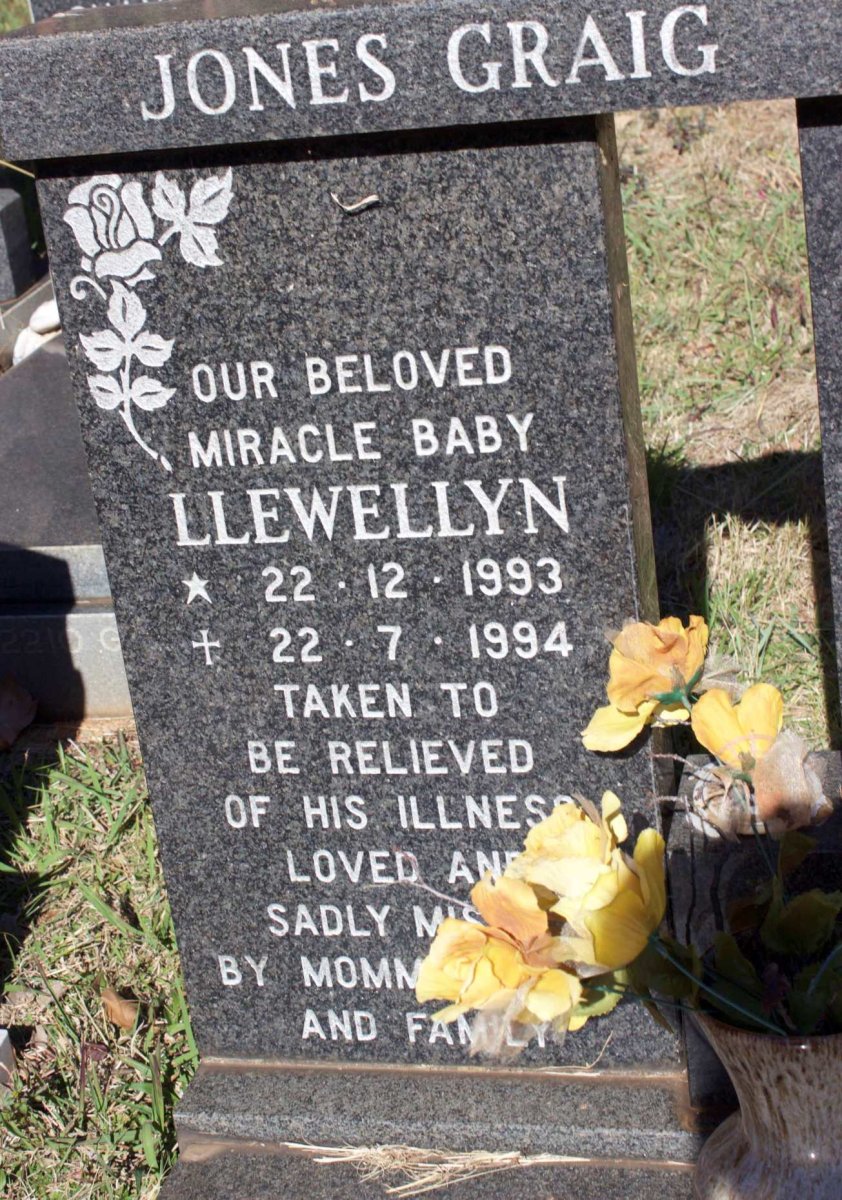 ? Llewellyn 1993-1994