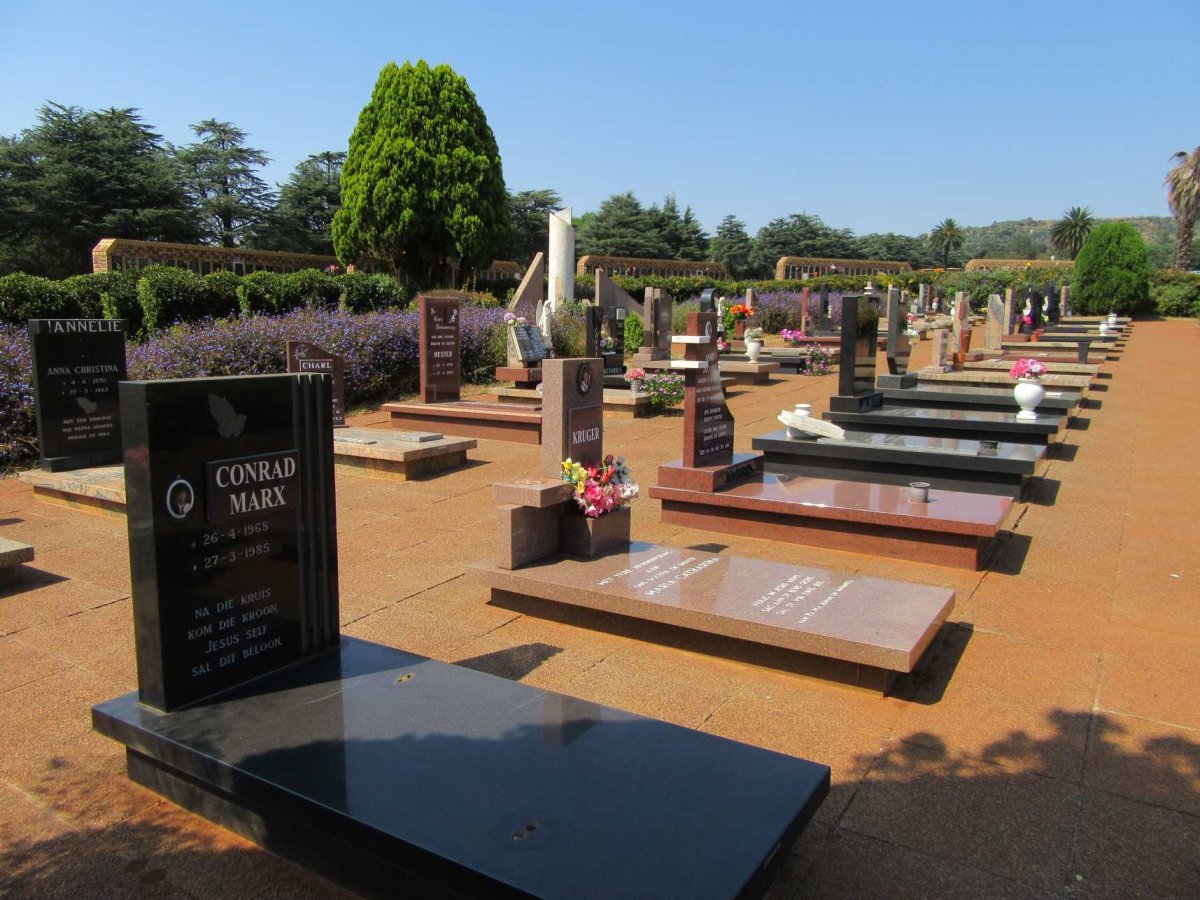 3. Overview / Oorsig