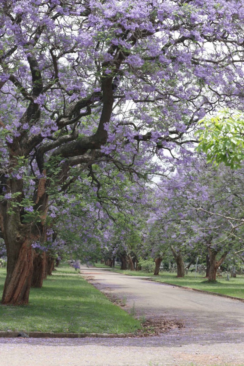 05. Overview / Oorsig