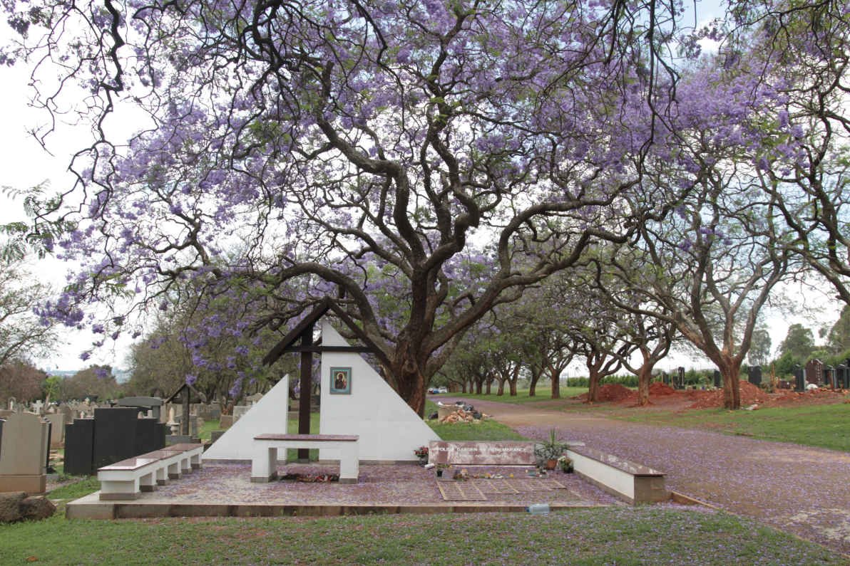 01. Overview / Oorsig