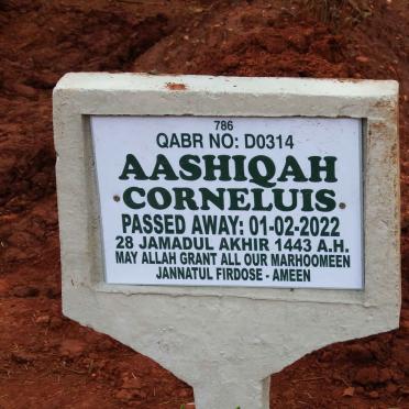 CORNELUIS Aashiqah -2022