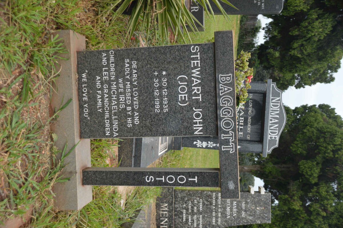 BAGGOTT Stewart John 1935-1992