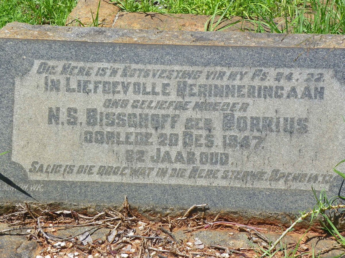 BISSCHOFF N.S. nee BORRIUS -1947