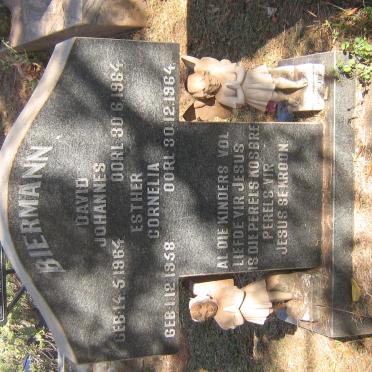 BIERMANN David Johannes 1964-1964 :: BIERMANN Ester Cornelia 1958-1964