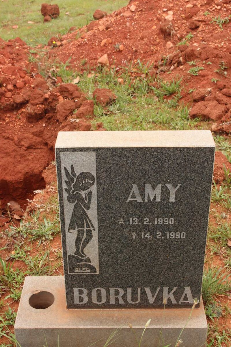 BORUVKA Amy 1990-1990