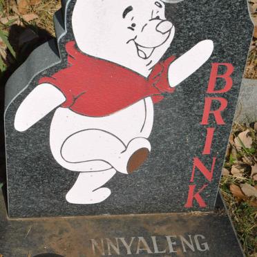 BRINK Nnyaleng 2008-2008