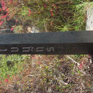 BRUYNS Eileen Francis nee ABRAHAMSE 1908-1962