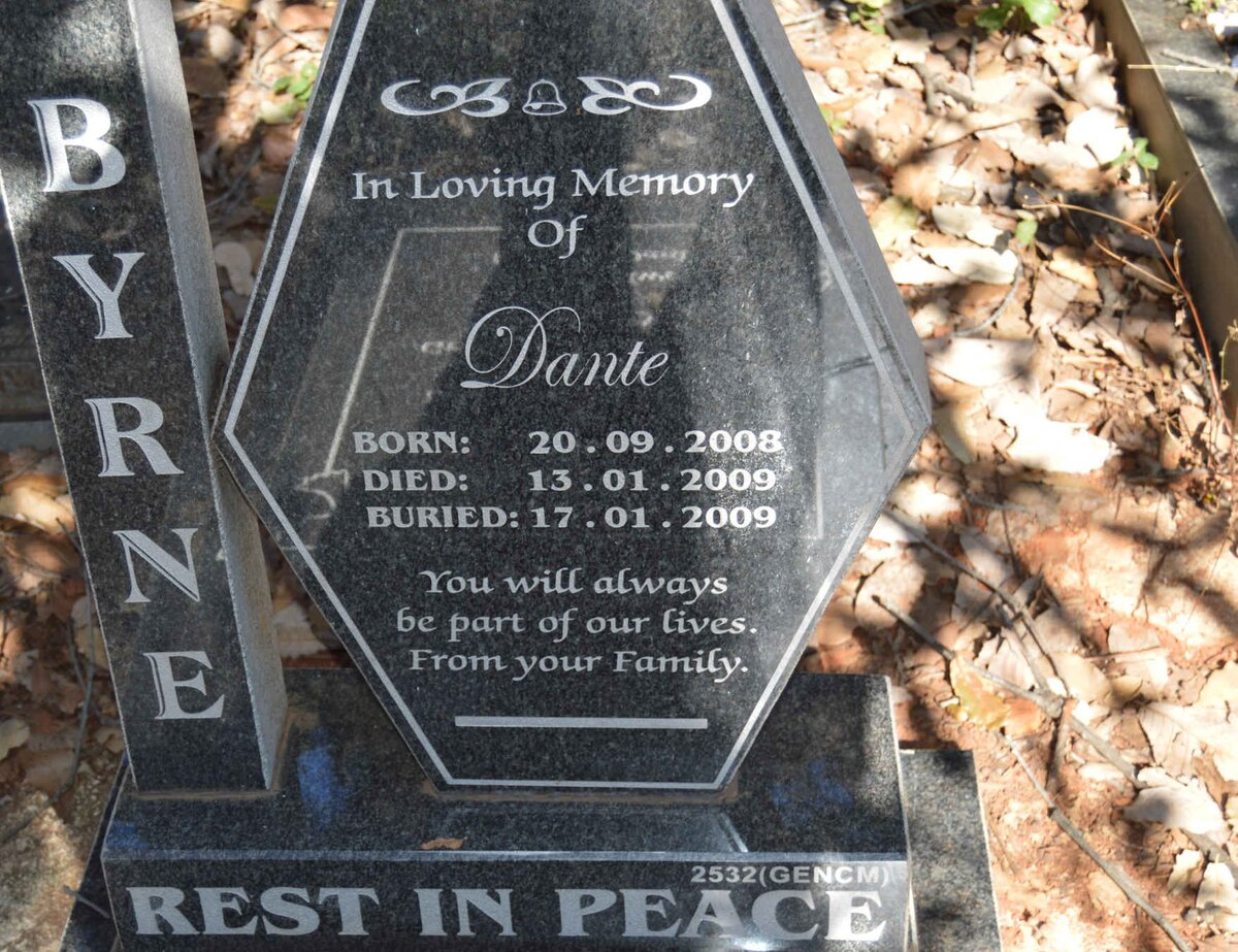 BYRNE Dante 2008-2009