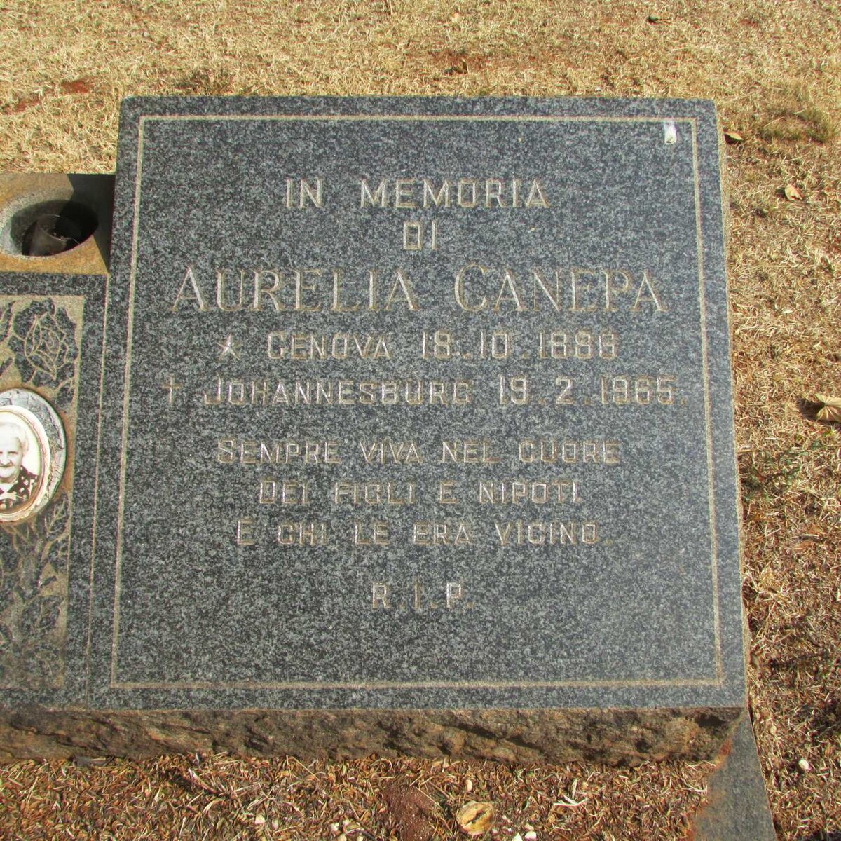 CANEPA Aurelia 1886-1965