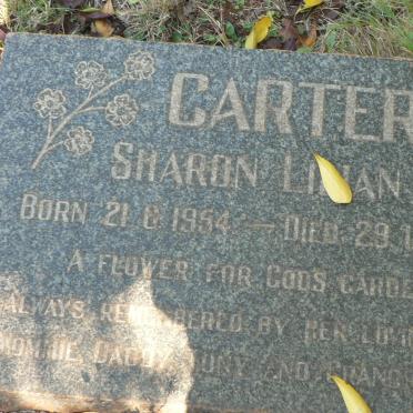 CARTER Sharon Lilian 1954-195?