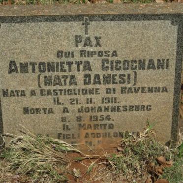 CICOGNANI Antonietta nee DANESI 1911-1954