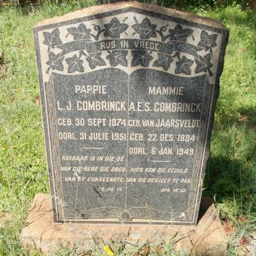 COMBRINCK L.J. 1874-1951 &amp; A.E.S. VAN JAARSVELDT 1884-1949