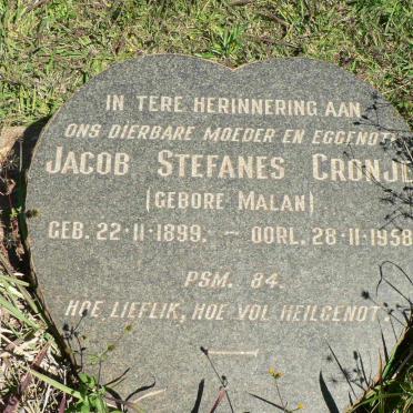 CRONJE Jacob Stefanus nee MALAN 1899-1958