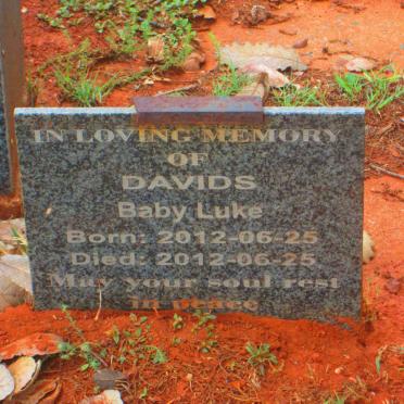 DAVIDS Luke 2012-2012