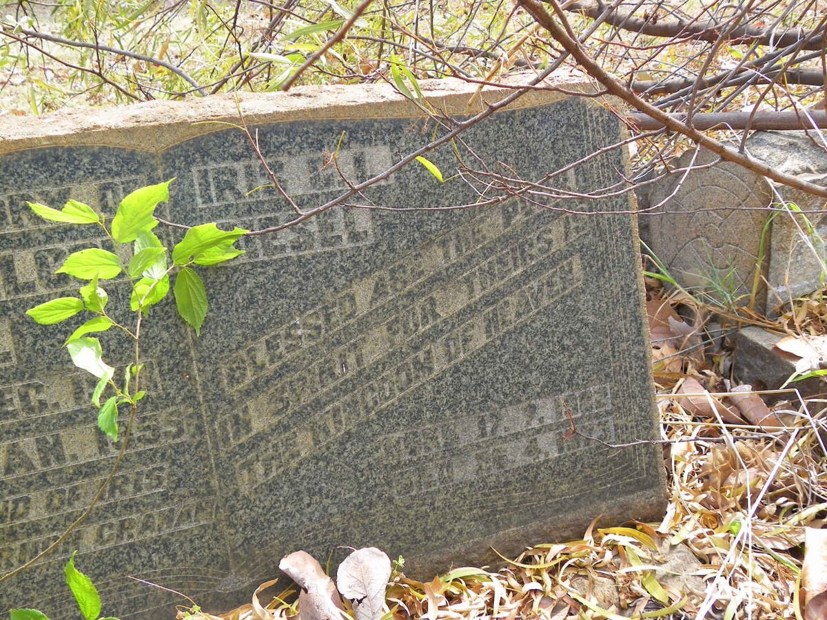 DIESEL Melville Malcolm 1901-1955 &amp; Iris G.L. 1902-1973