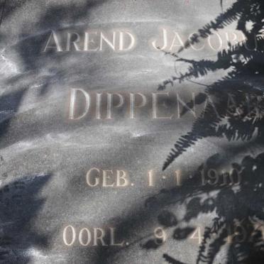 DIPPENAAR Arend Jacobus 1910-1971