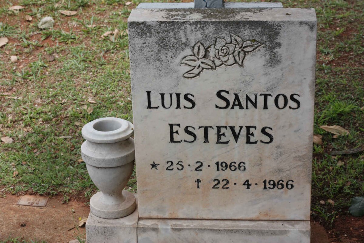ESTEVES Luis Santos 1966-1966