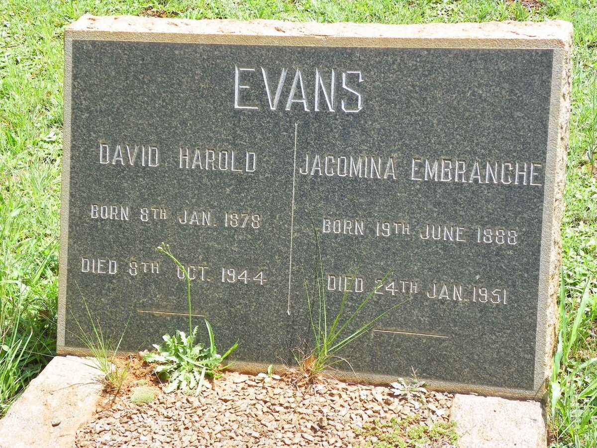 EVANS David Harold 1878-1944 &amp; Jacomina Embranche 1888-1951