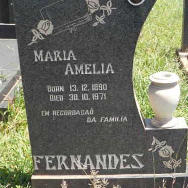 FERNANDES Maria Amelia 1890-1971