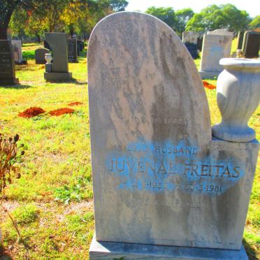 FREITAS Juvenal 1935-1981