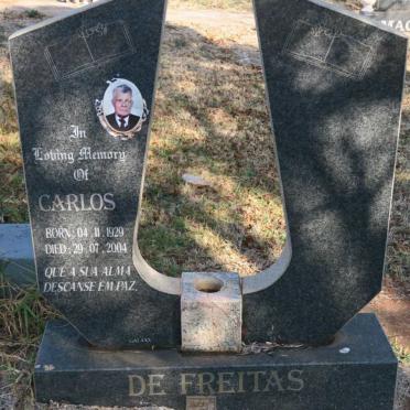 FREITAS Carlos, de 1929-2004
