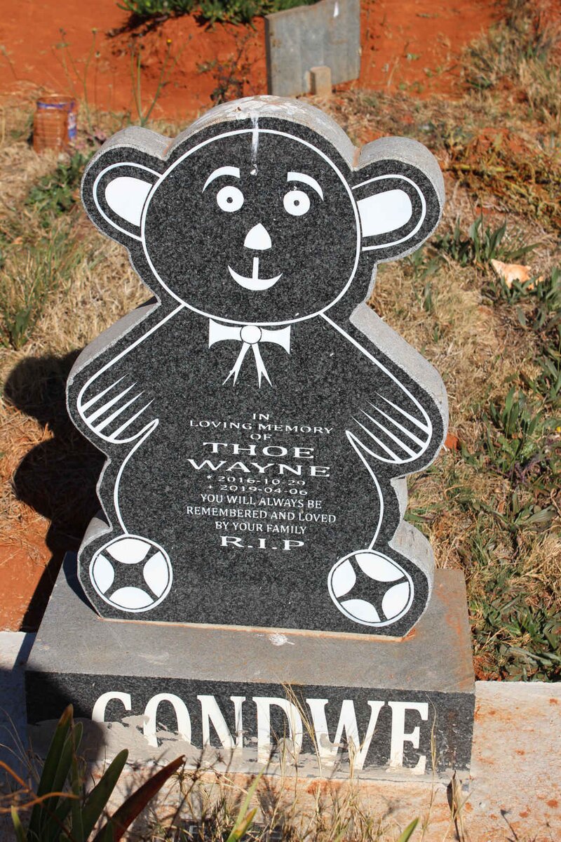 GONDWE Theo Wayne 2016-2019