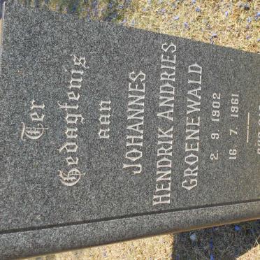 GROENEWALD surnames :: GROENEWALD vanne