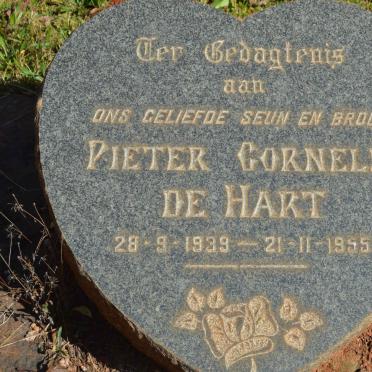 HART Pieter Cornelis, de 1939-1955