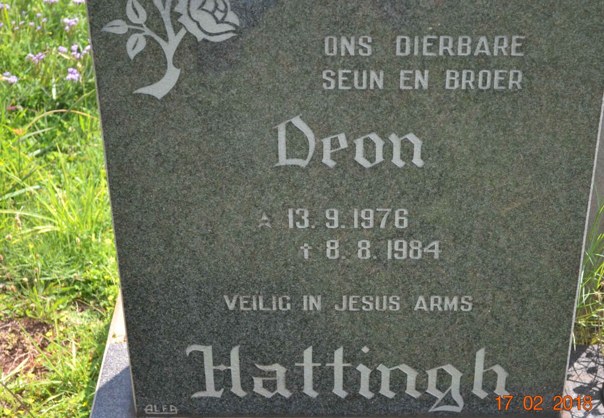 HATTINGH Deon 1976-1984