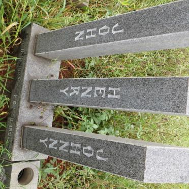 HENRY John 1962-1995