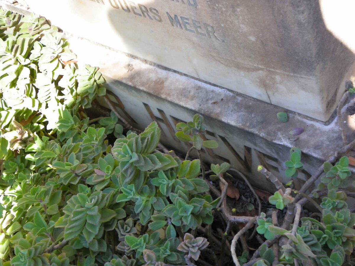 HEEVER Jan Stephanus, v.d. 1906-1959 &amp; Regina Magdelena 1916-1965 :: PIETERSE Sarah Elizabeth 1935-????