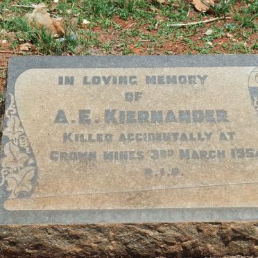KIERNANDER A.E. -1954