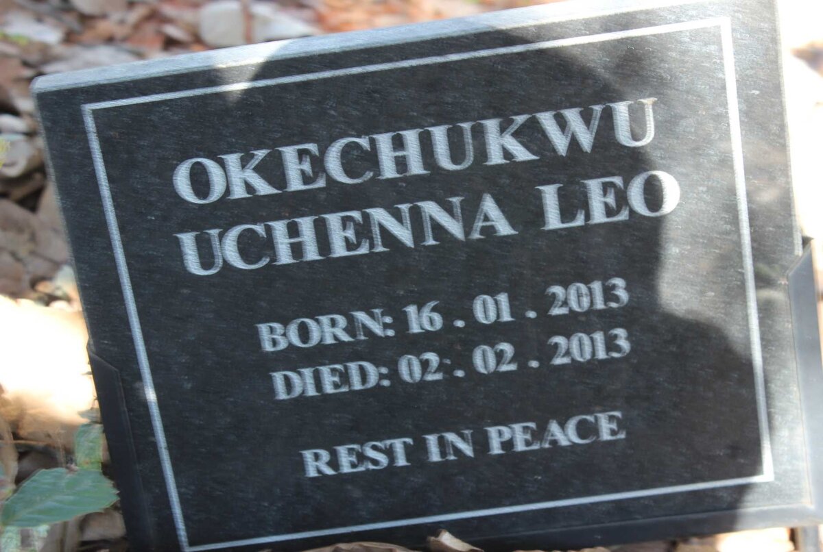 LEO Okechukwu Uchenna 2013-2013