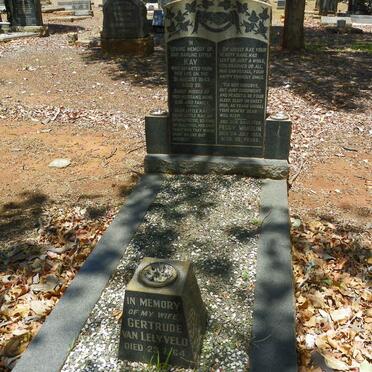 LELYVELD Gertrude, van -1964 :: ? Kay -1943 :: WAKELIN Peggy -1953