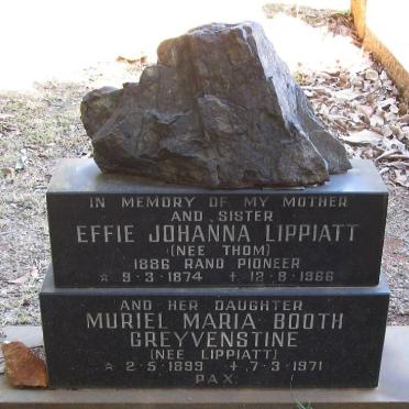 LIPPIATT Effie Johanna nee THOM 1874-1966 :: GREYVENSTINE Muriel Maria Booth nee LIPPIATT 1899-1971 