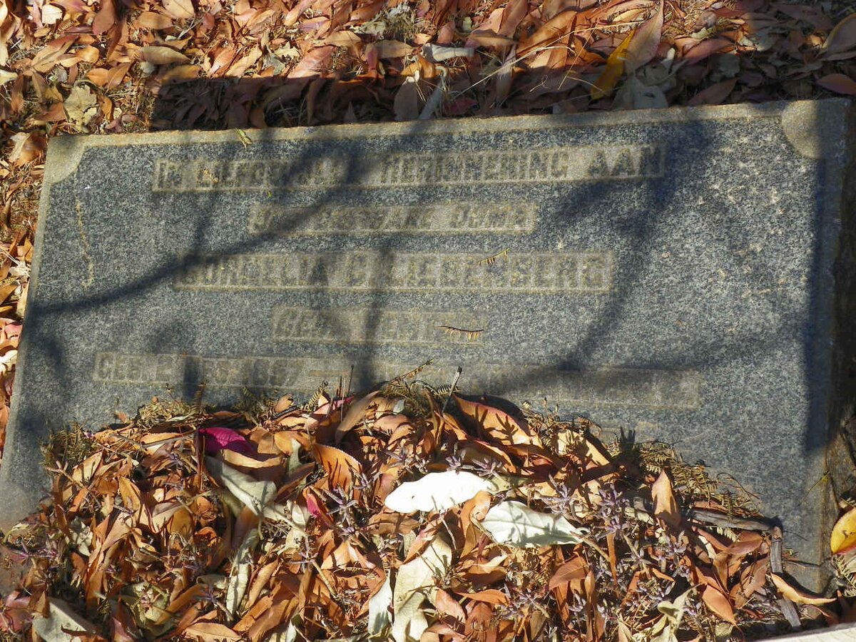 LIEBENBERG Cornelia C. nee VENTER 1857-1944