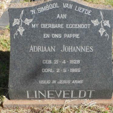LINEVELDT Adriaan Johannes 1929-1965