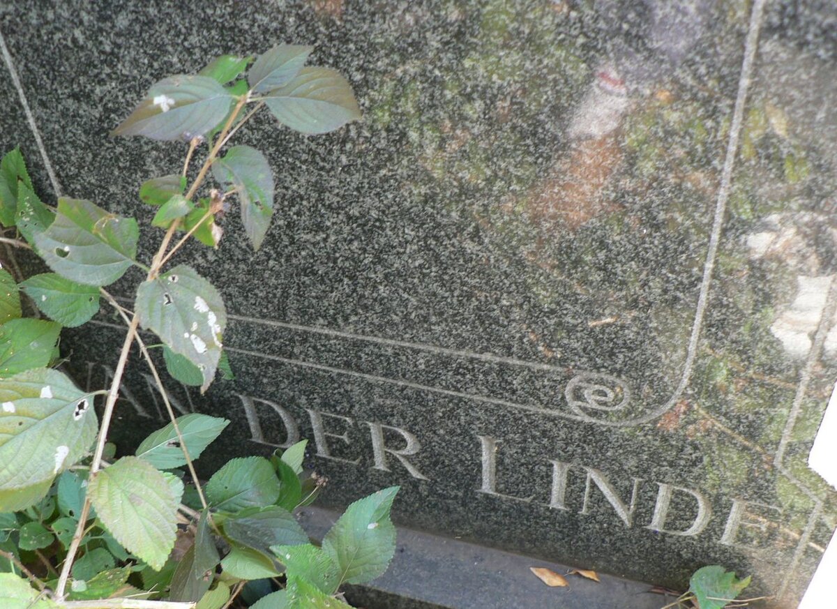 LINDE Willem F., van der 1906-1964