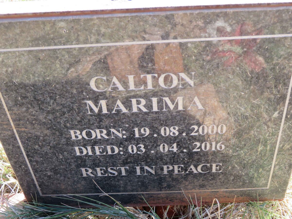 MARIMA Calton 2000-2016