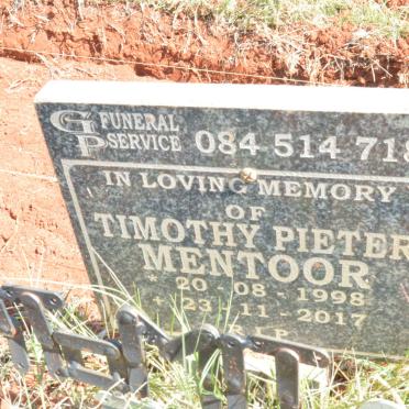 MENTOOR Timothy Pieter 1998-2017